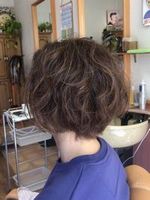 ������s�@�Y��Ȕ�������