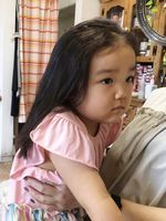 �Ԃ����̕M�@��錧�@������s