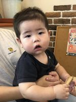 �Ԃ����̕M�@��錧