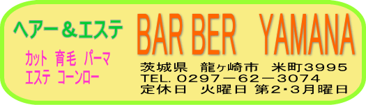 ������s�@�w�A�[�T�����@�s�n�o��